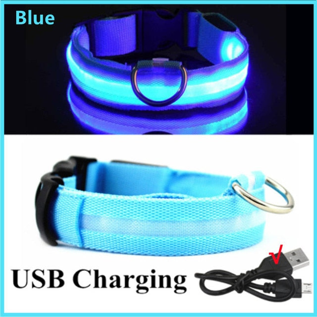 LED Dog Collar USB Rechargeable - Special Offer