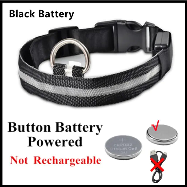LED Dog Collar USB Rechargeable