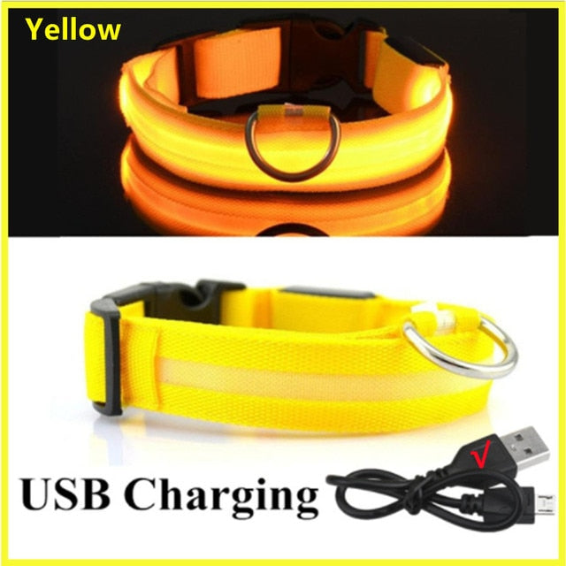 LED Dog Collar USB Rechargeable - Special Offer