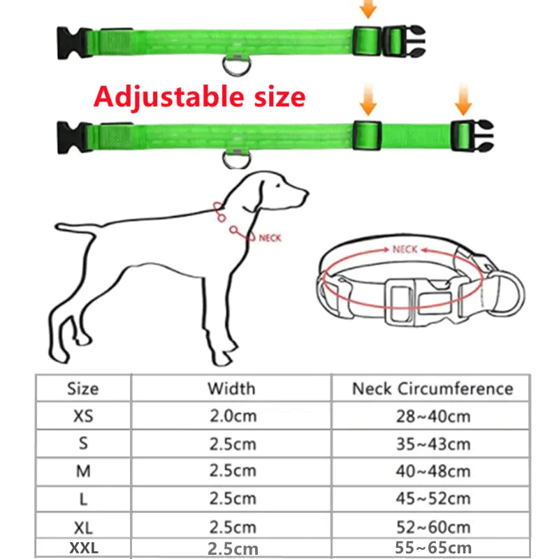 LED Dog Collar USB Rechargeable