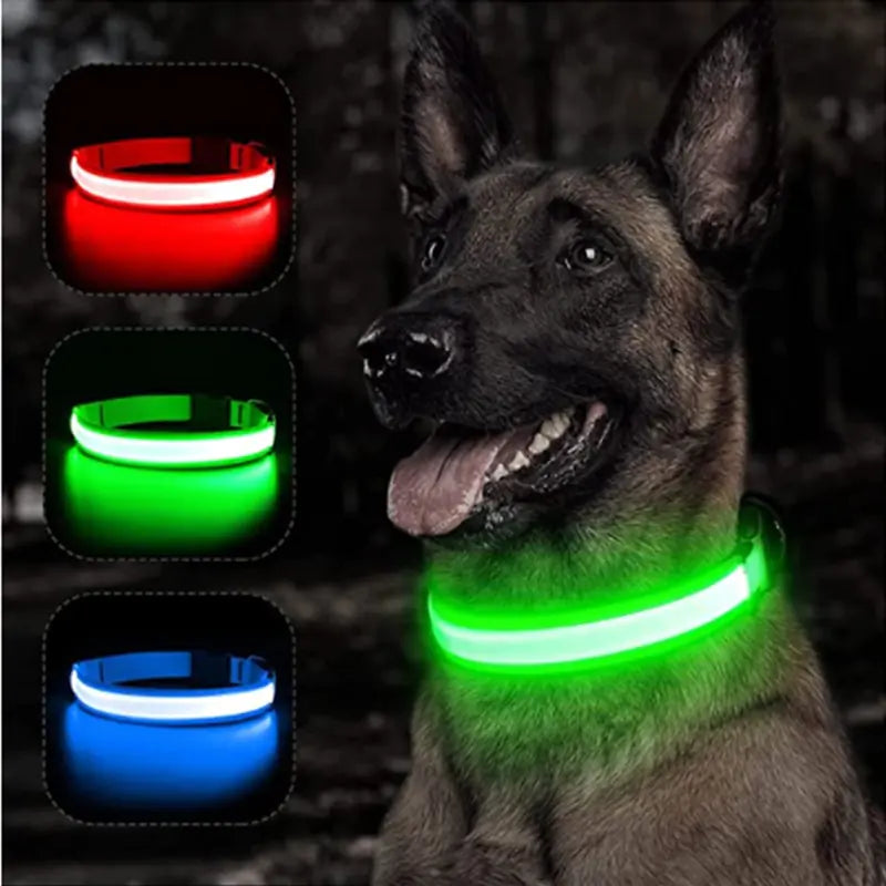 LED Dog Collar USB Rechargeable