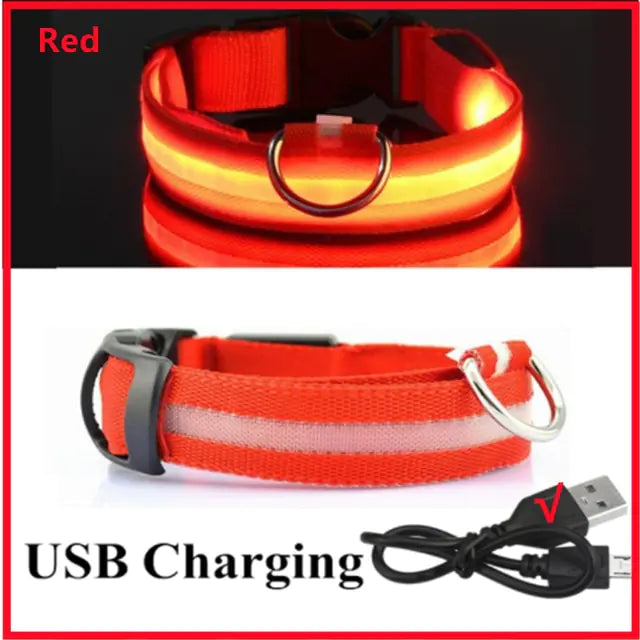 LED Dog Collar USB Rechargeable