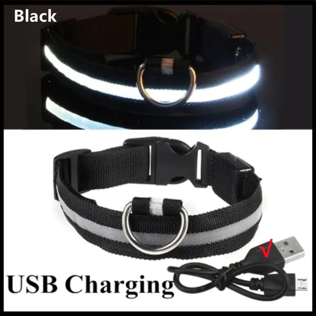 LED Dog Collar USB Rechargeable