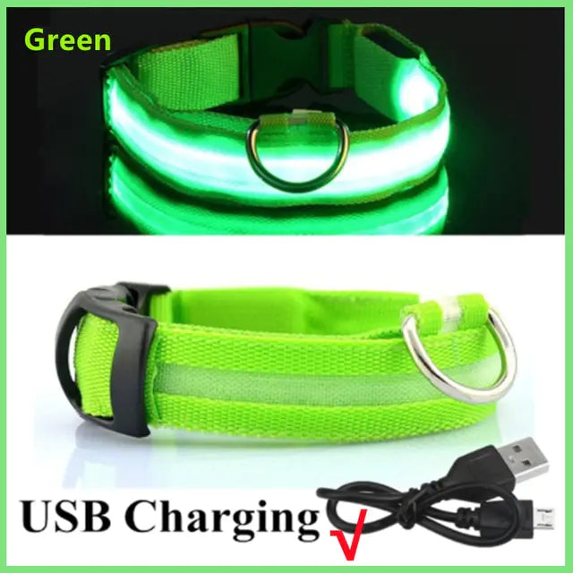 LED Dog Collar USB Rechargeable