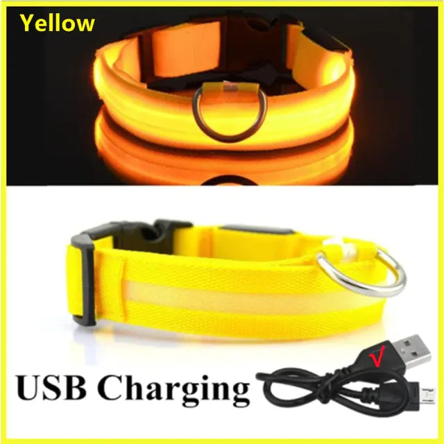 LED Dog Collar USB Rechargeable