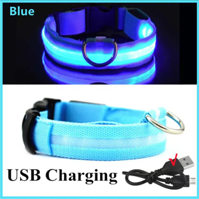 LED Dog Collar USB Rechargeable