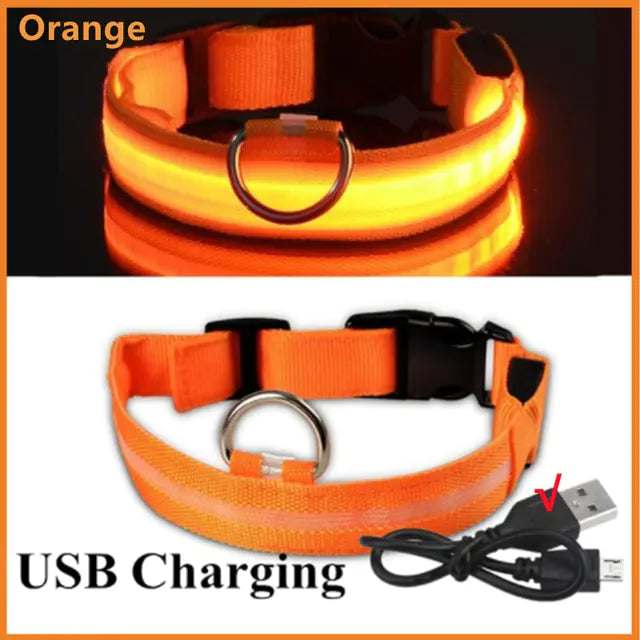 LED Dog Collar USB Rechargeable