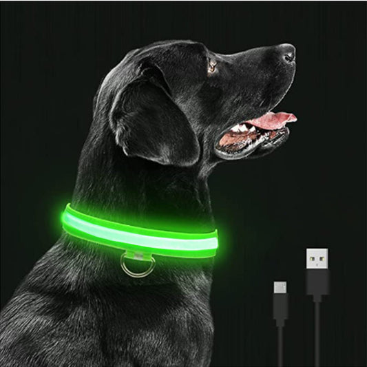 LED Dog Collar USB Rechargeable