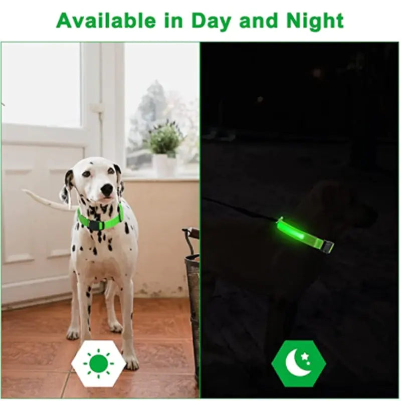 LED Dog Collar USB Rechargeable