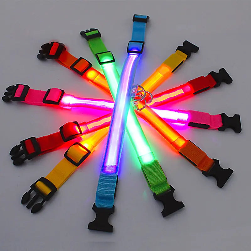 LED Dog Collar USB Rechargeable